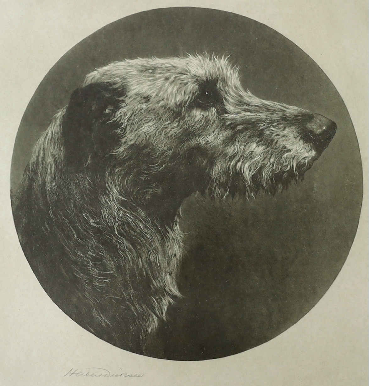 Herbert Dicksee (1862-1942), etching, The Old Hound, signed in pencil, publ. 1912, 38 x 38cm